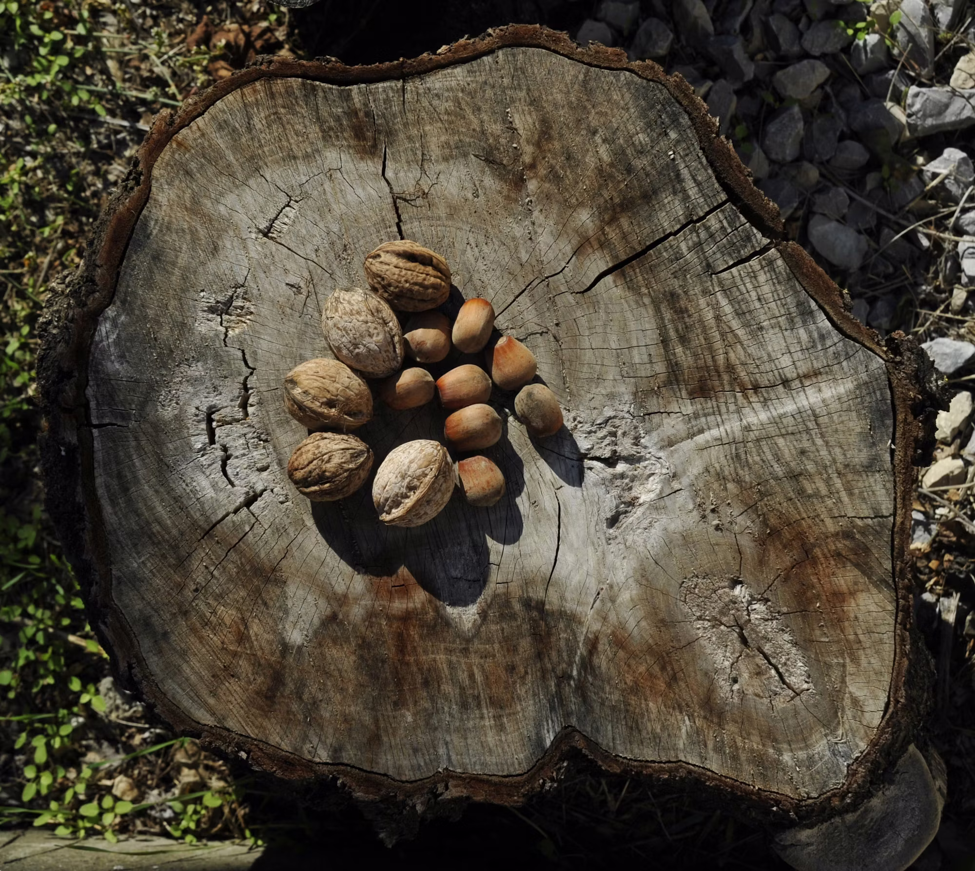 Eating for Energy: How to Optimize Your Diet for Long-Term Vitality